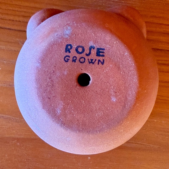 Rose Grown Goddessware Terracotta Boob Planter - Picture 4 of 4